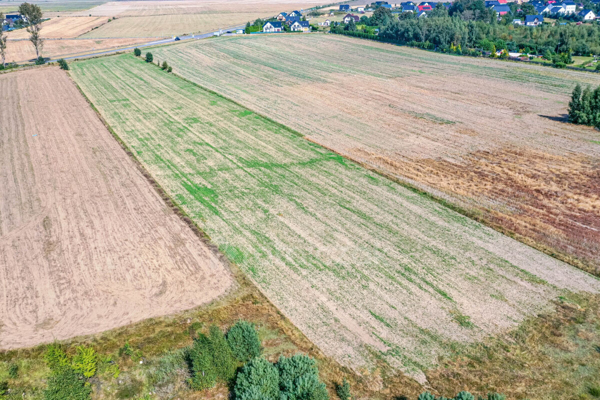 2 HEKTARY | DZIAŁKA USŁUGOWO-PRZEMYSŁOWA | Z MPZPŁebcz