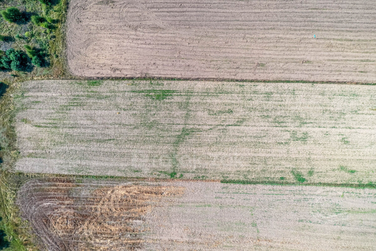 2 HEKTARY | DZIAŁKA USŁUGOWO-PRZEMYSŁOWA | Z MPZPŁebcz