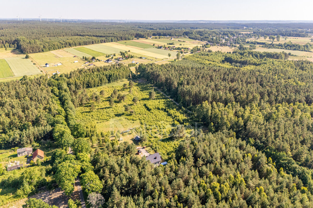 DOM WOLNOSTOJĄCY | 2012r | MORZE | W ZACISZU LASUSzczenurze