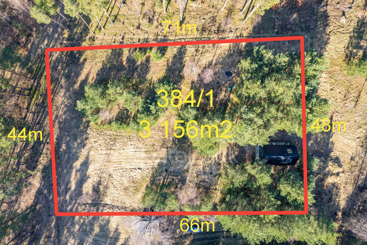 DOMEK NAD MORZEM | LAS | SASINO | 3 156m2 DZIAŁKASasino