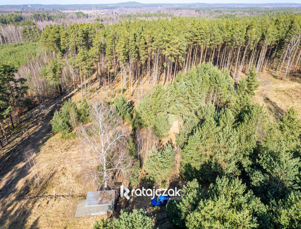 Domek nad morzem | las | Sasino | 3 156m2 działkaSasino