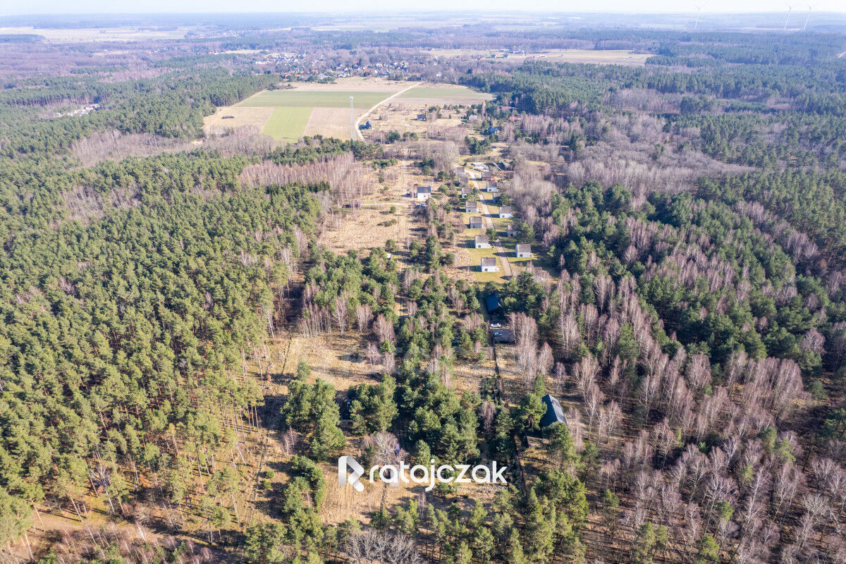 DOMEK NAD MORZEM | LAS | SASINO | 3 156m2 DZIAŁKASasino