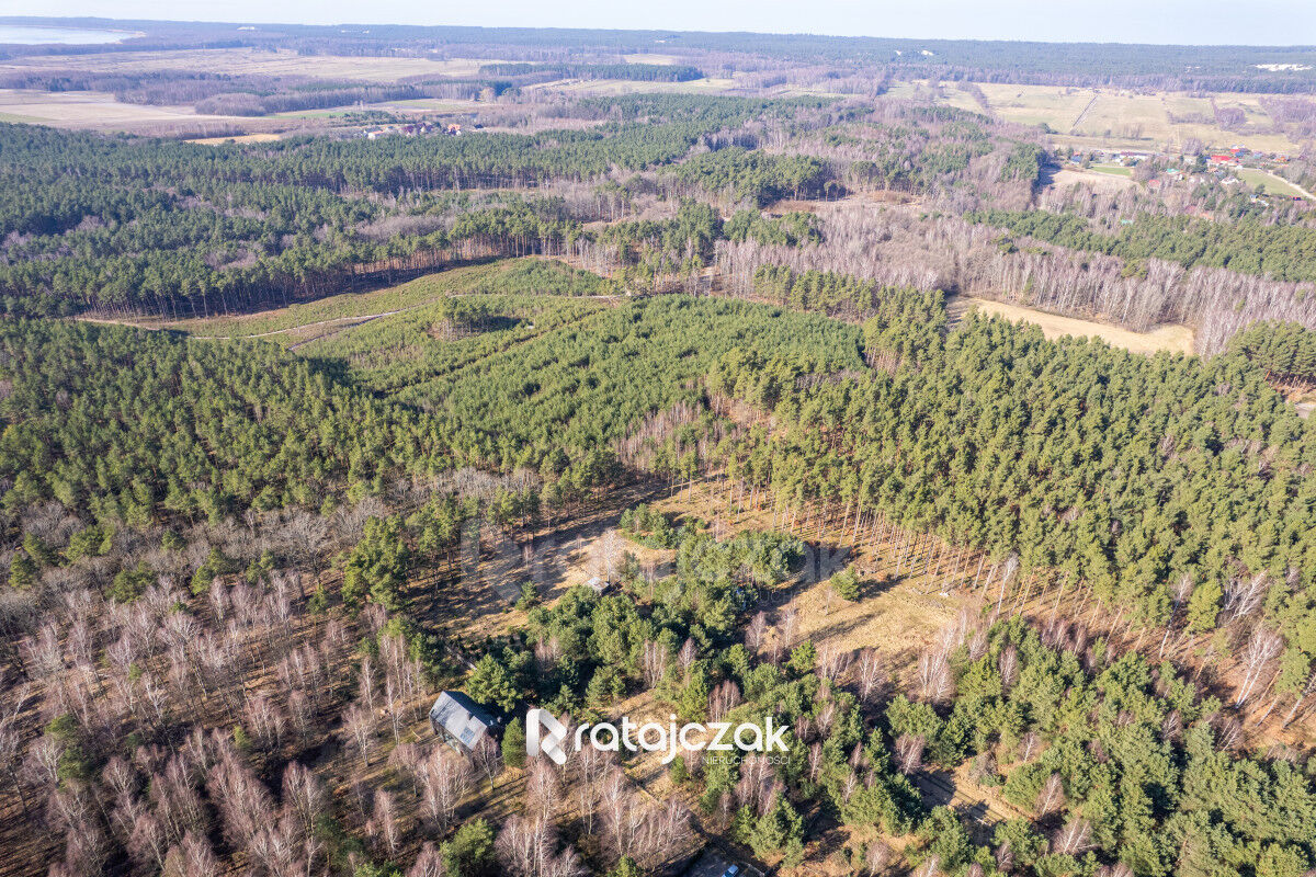 DOMEK NAD MORZEM | LAS | SASINO | 3 156m2 DZIAŁKASasino