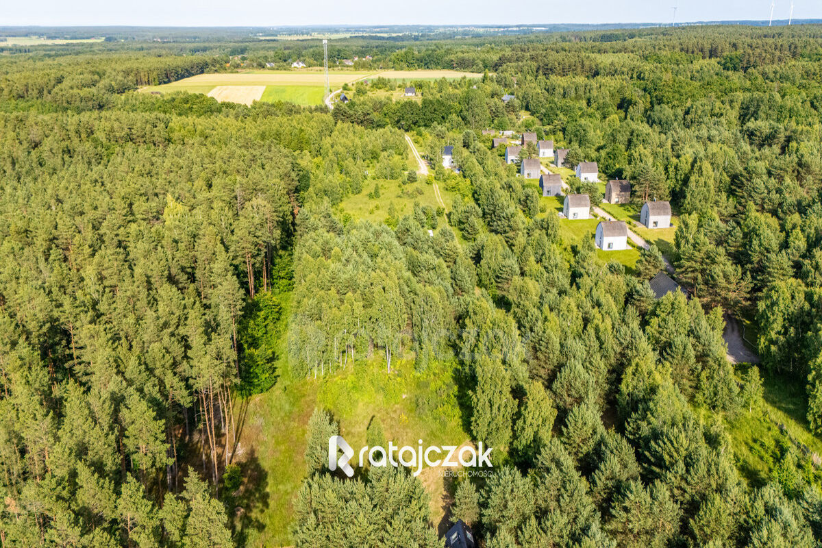 DZIAŁKA BUDOWLANA | SASINO | POD LASEM | MORZESasino