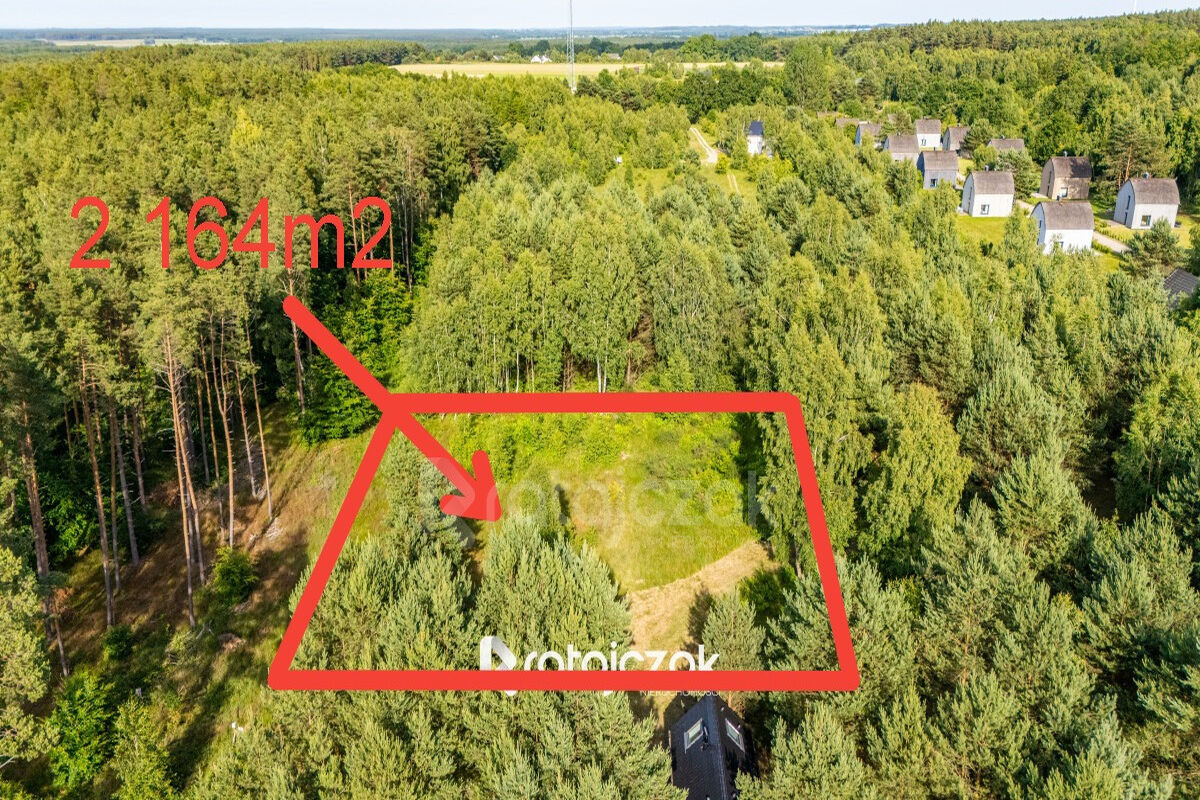 DZIAŁKA BUDOWLANA | SASINO | POD LASEM | MORZESasino