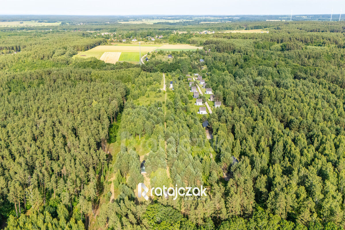 DZIAŁKA BUDOWLANA | SASINO | POD LASEM | MORZESasino