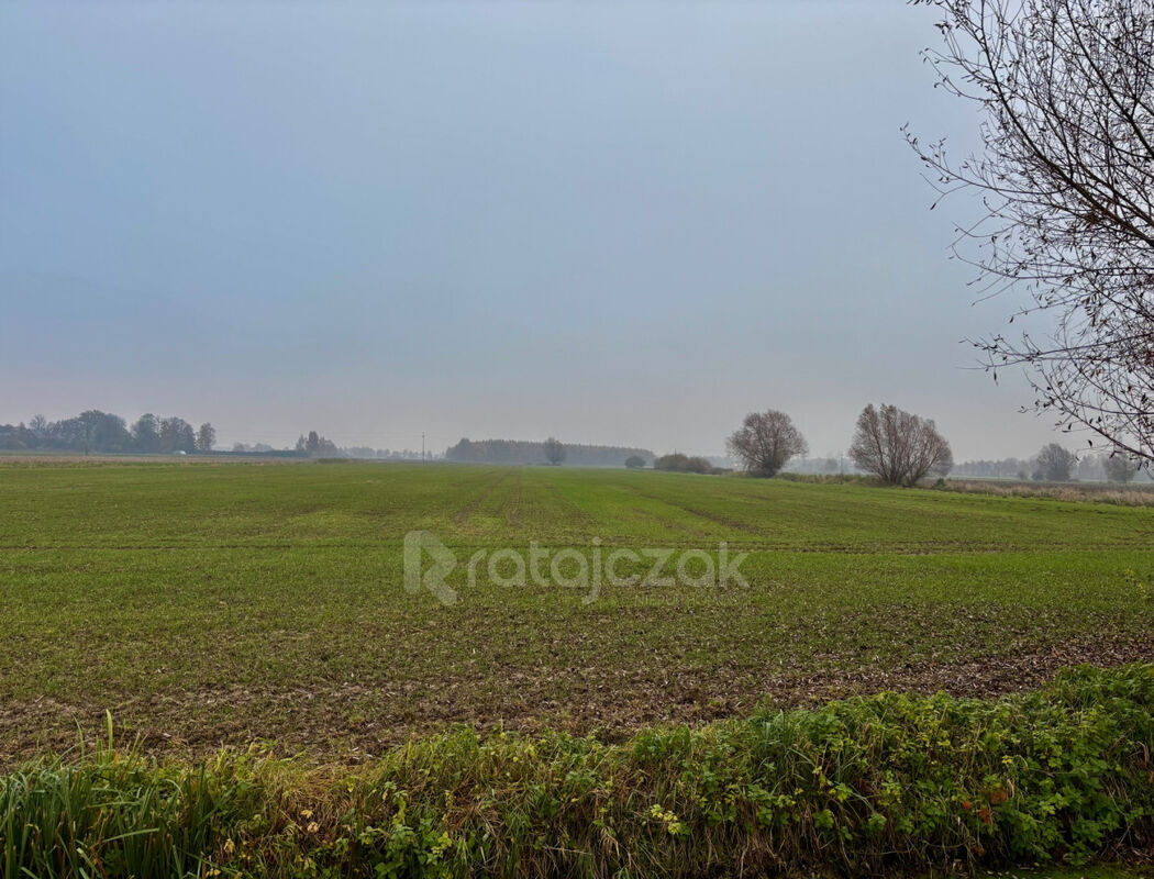 Sprzedam 3 działki budowlane z warunkami zabudowyDrewnica