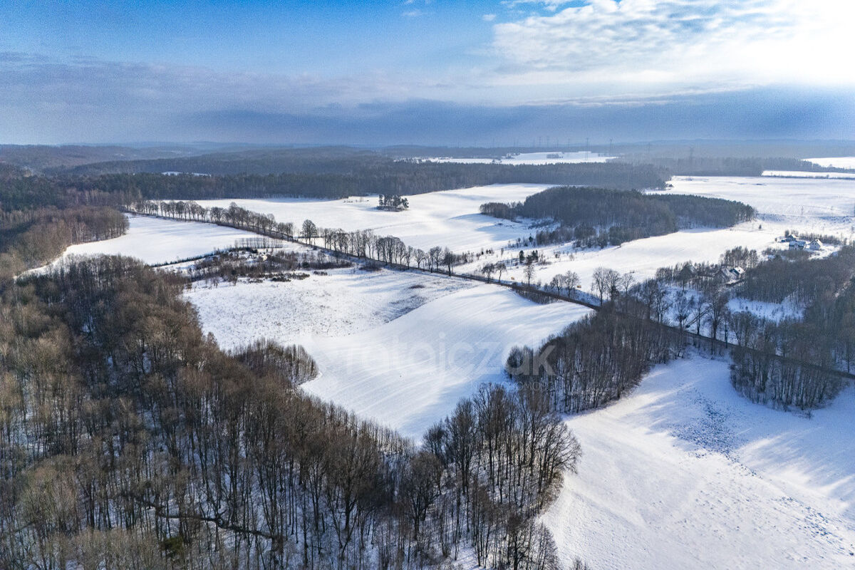 3 54 HA ROLNA | MIERZYNO | PRĄD | DROGA ASFALTOWAMierzyno