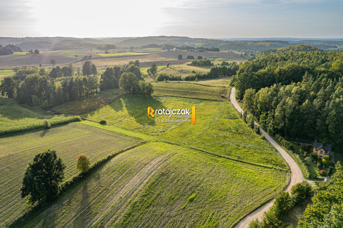 pod dom jednorodzinny | 1050 mkw | MPZPPrzetoczyno
