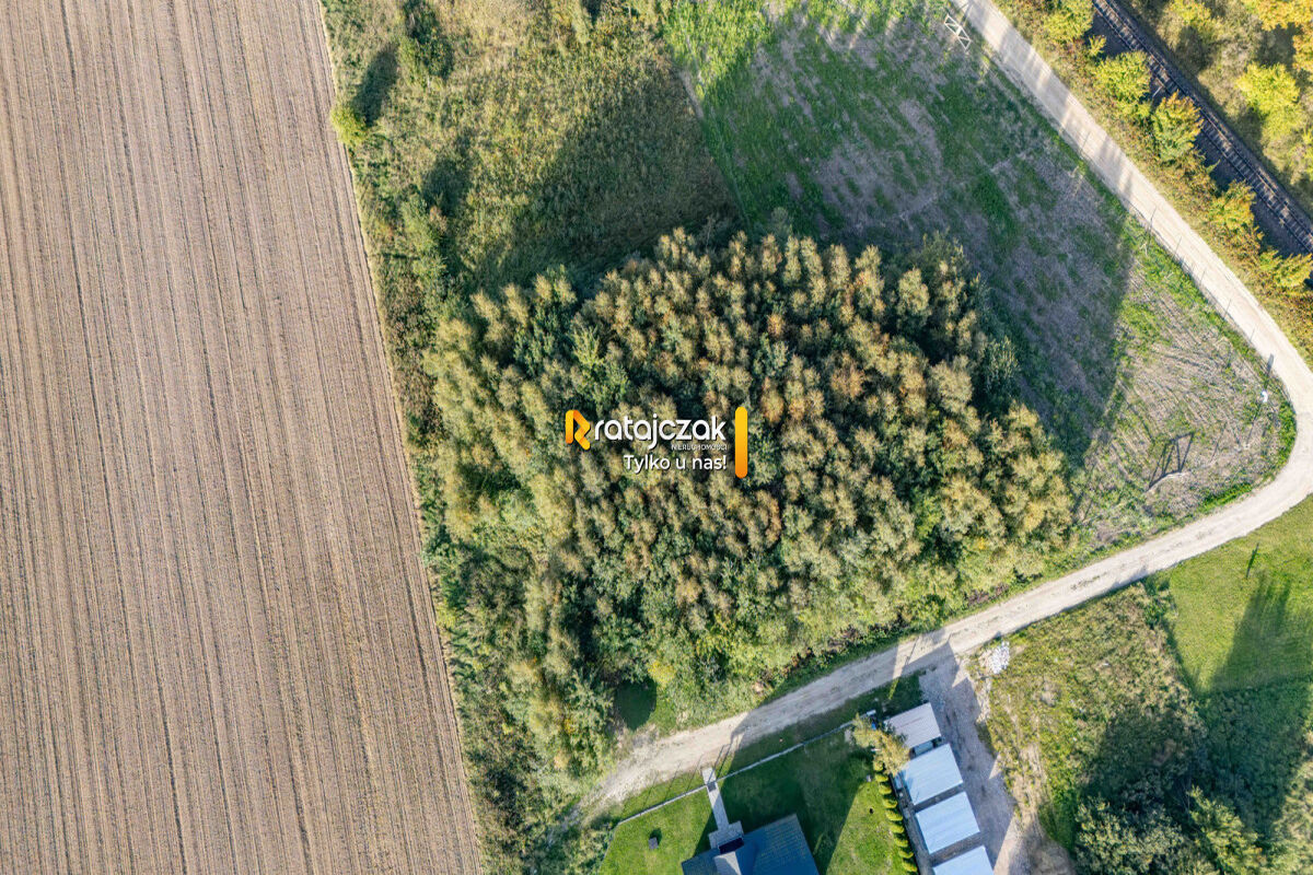 Działka 1001 m² | Widok w kierunku Zatoki Puckiej – Gnieżdżewo