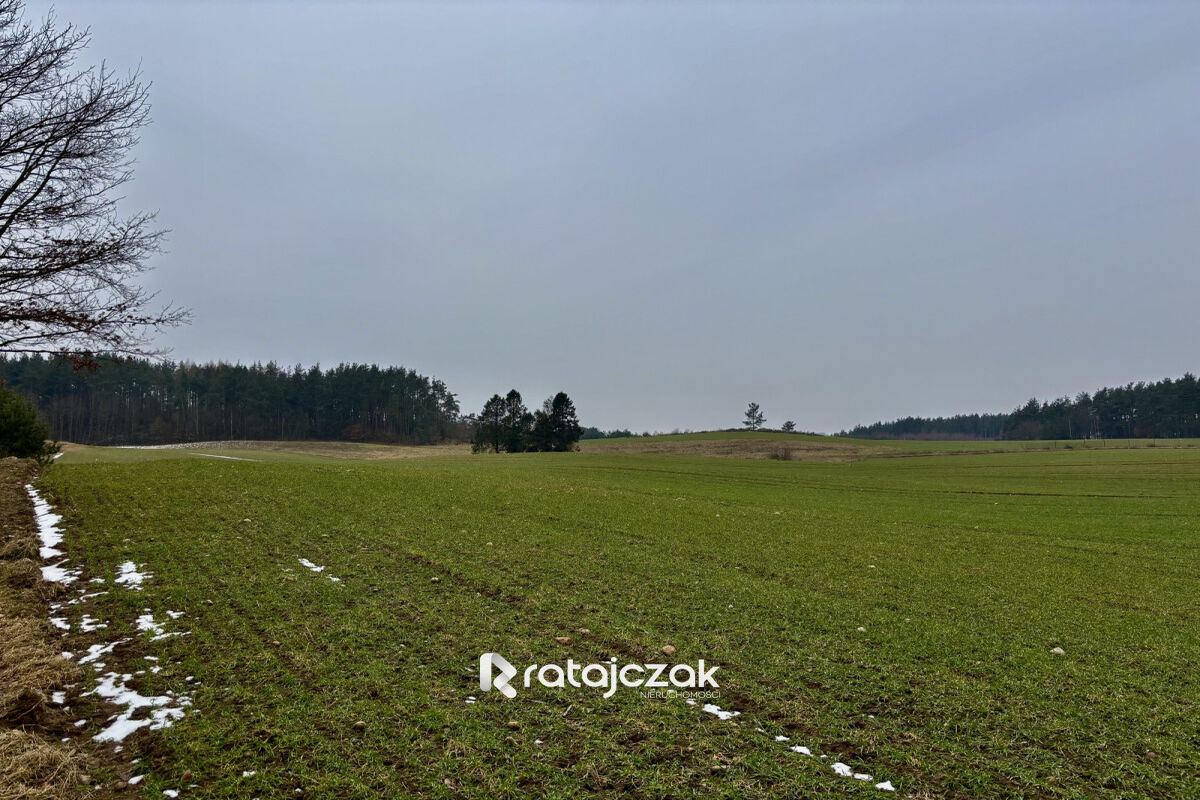 Na sprzedaż 16 działek budowlanych w Gdyni | MPZPGdynia