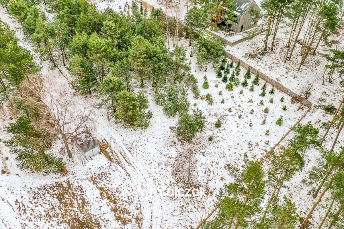Działka z widokiem na morze | Sasino |  pod lasemSasino