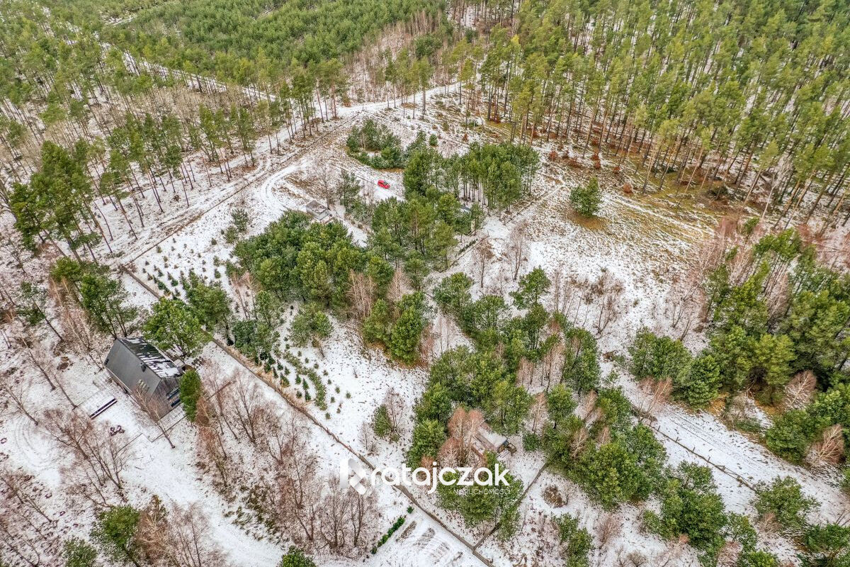 Działka z widokiem na morze | Sasino |  pod lasemSasino