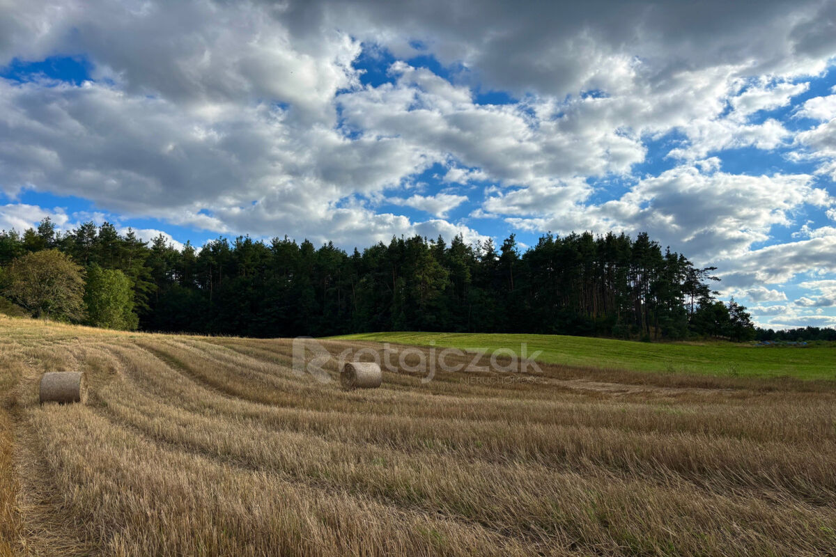 Powierzchnia działek: 2069 m² - 2265 m² | MpzpGdynia