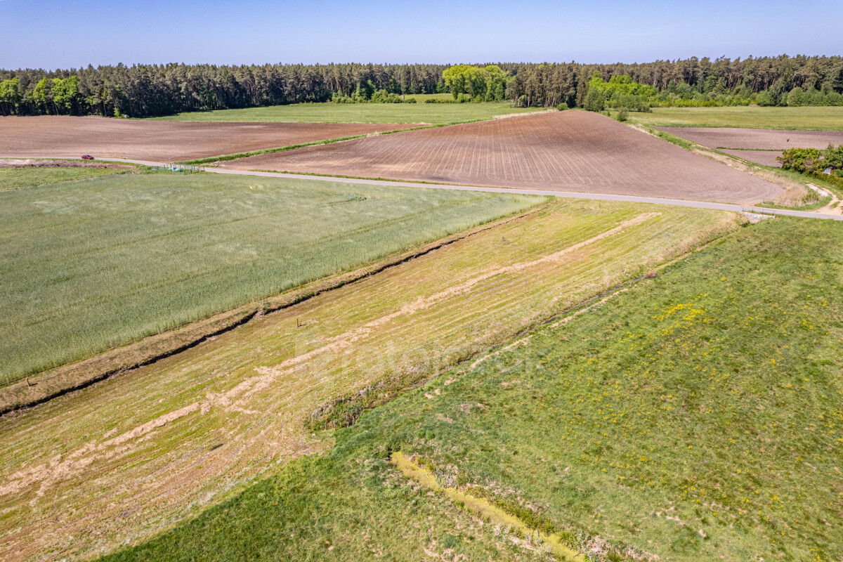 DZIAŁKA BUDOWLANA | UZBROJONA | LAS | NAD MORZEMParszczyce