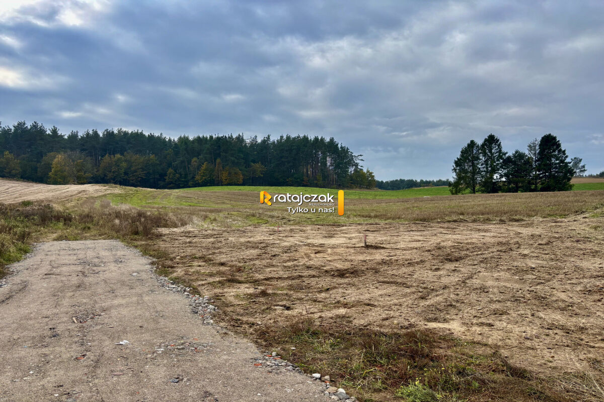 Idealna pod dom jednorodzinny | Ściana lasuGdynia