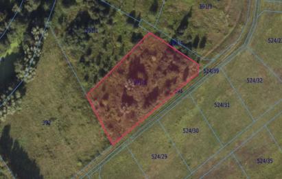 Rzut, plan Sprzedam działkę budowlaną w Drewnicy - 3356 m²-Drewnica