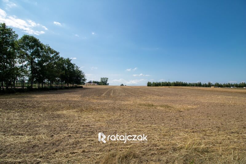 Duża działka przy szkole podstawowej -  k. Jastrzę - Mieroszyno