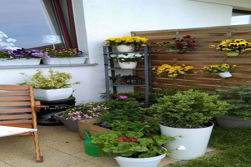 Kawalerka z wydzieloną sypialnią plus Ogródek! - Gdańsk