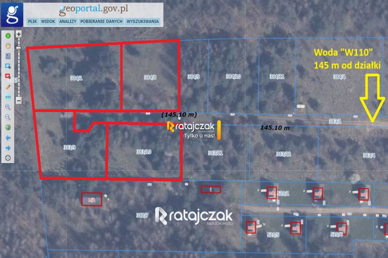 DZIAŁKA INWESTYCYJNA | SASINO | LAS WIDOK NA MORZE - Sasino