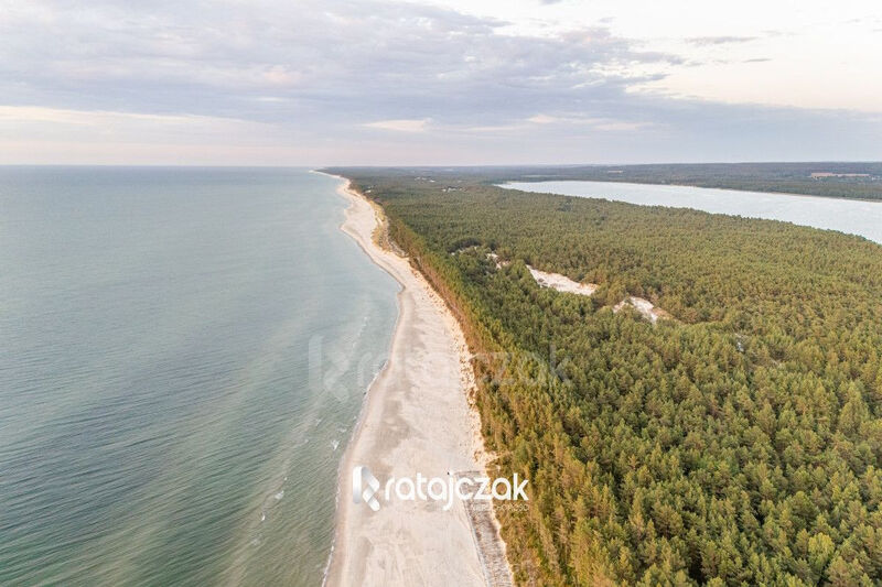 DZIAŁKA INWESTYCYJNA | SASINO | LAS WIDOK NA MORZE - Sasino