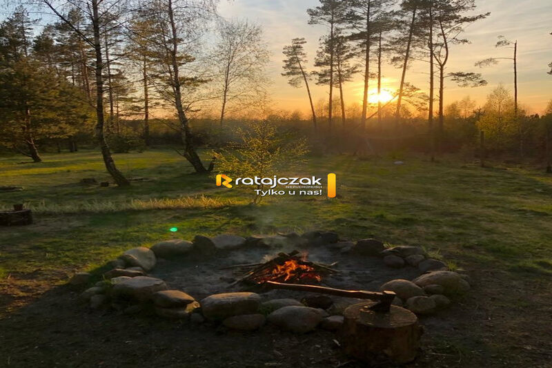 DOMEK NAD MORZEM | LAS | SASINO | 3 156m2 DZIAŁKA - Sasino
