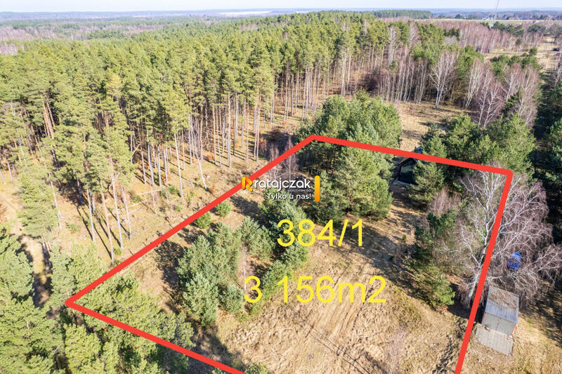 DOMEK NAD MORZEM | LAS | SASINO | 3 156m2 DZIAŁKA - Sasino