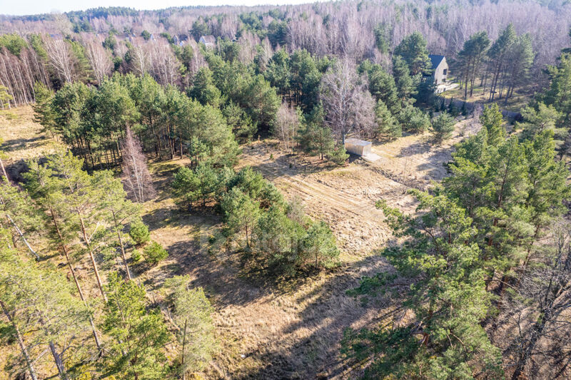 DOMEK NAD MORZEM | LAS | SASINO | 3 156m2 DZIAŁKA - Sasino