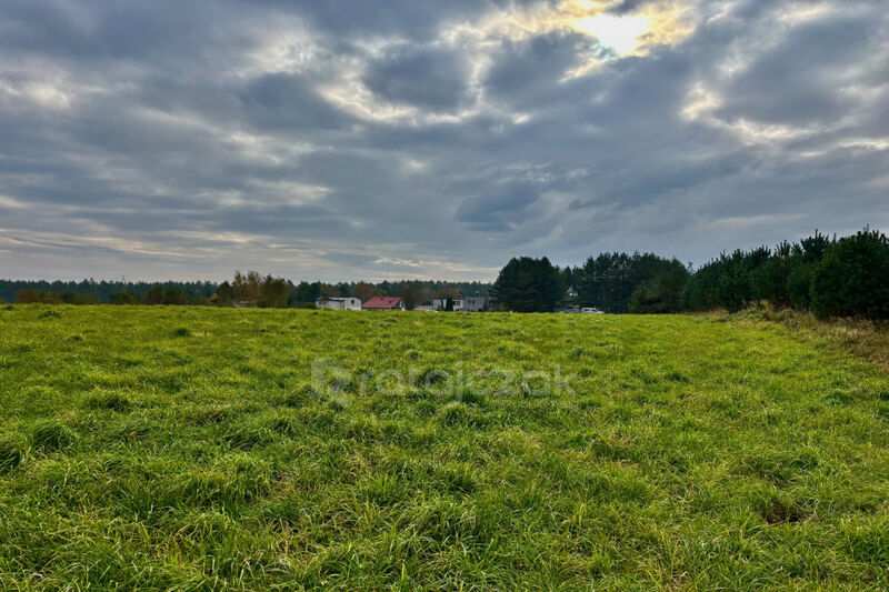 Zabudowa jednorodzinna wolnostojąca lub bliźniacza - Gdynia