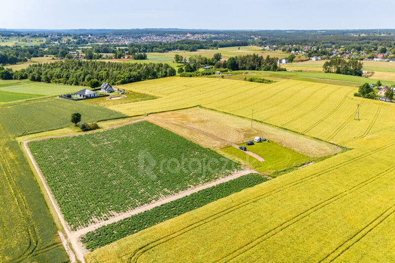 Działki z wydanymi Warunkami Zabudowy | Robakowo - Robakowo