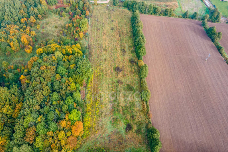 Działki w Jantarze  Media przy działce! - Jantar