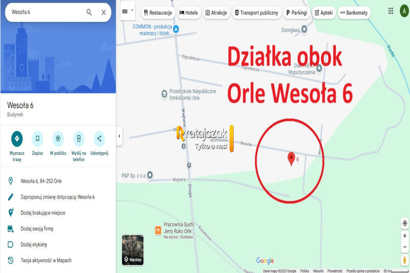 2 DZIAŁKI BUDOWLANE | UZBROJONE | ORLE | POD LASEM - Orle