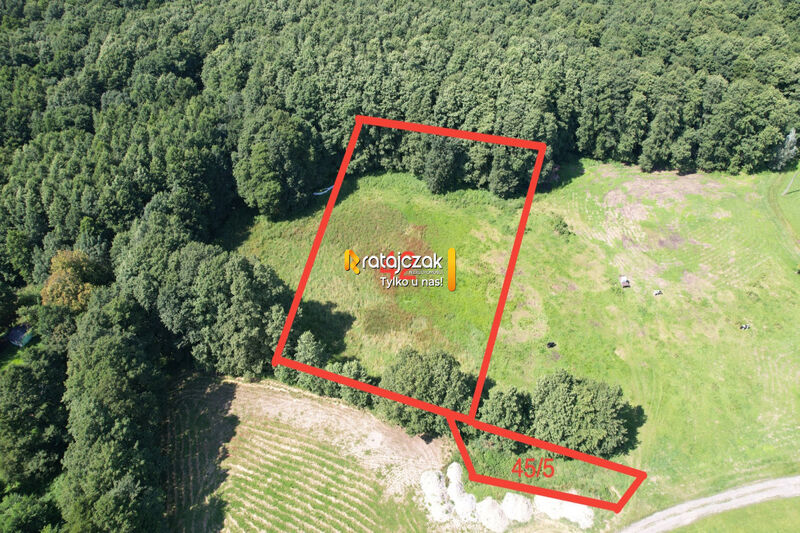 Mieszkanie na sprzedaż w Krynica Morska, Wiejska   - 3532.00 m2