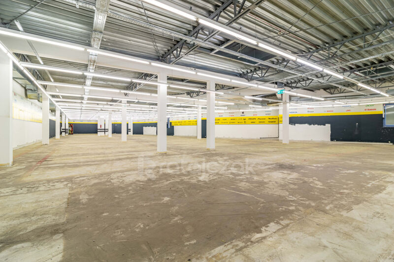 Malbork 855m2 Tylko u Nas! Wynajem - Malbork