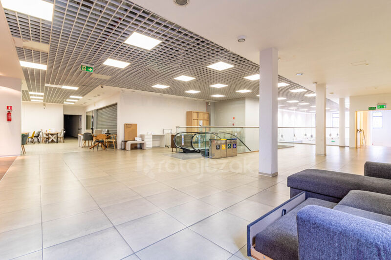 Malbork 855m2 Tylko u Nas! Wynajem - Malbork