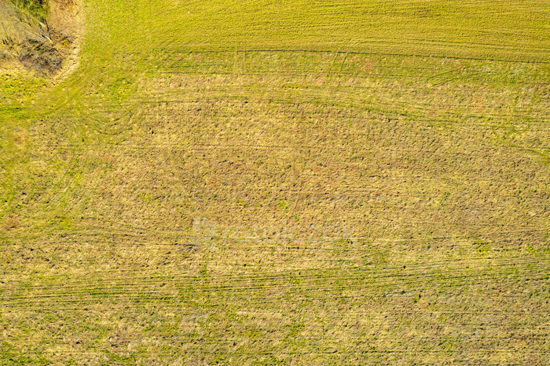 Działka letniskowa nad jeziorem - Perlino