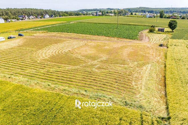 Działki z wydanymi Warunkami Zabudowy | Robakowo - Robakowo