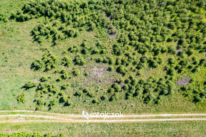 Kębłowo| Działka budowlana |LAS| MPZP| Blisko S6 - Kębłowo