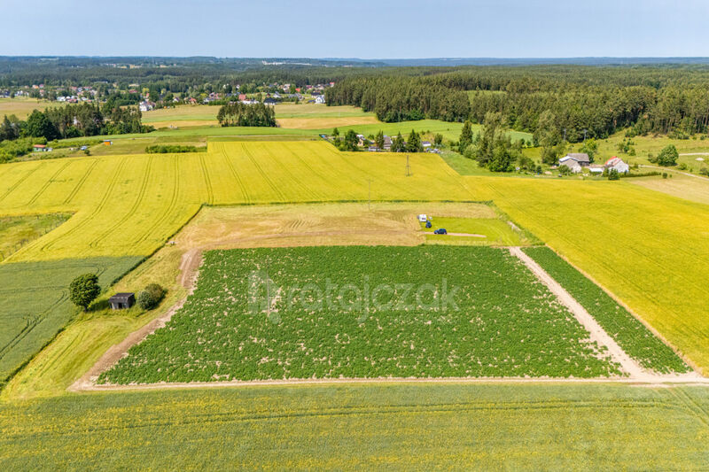 Działki z odrębnymi Warunkami Zabudowy | Robakowo - Robakowo