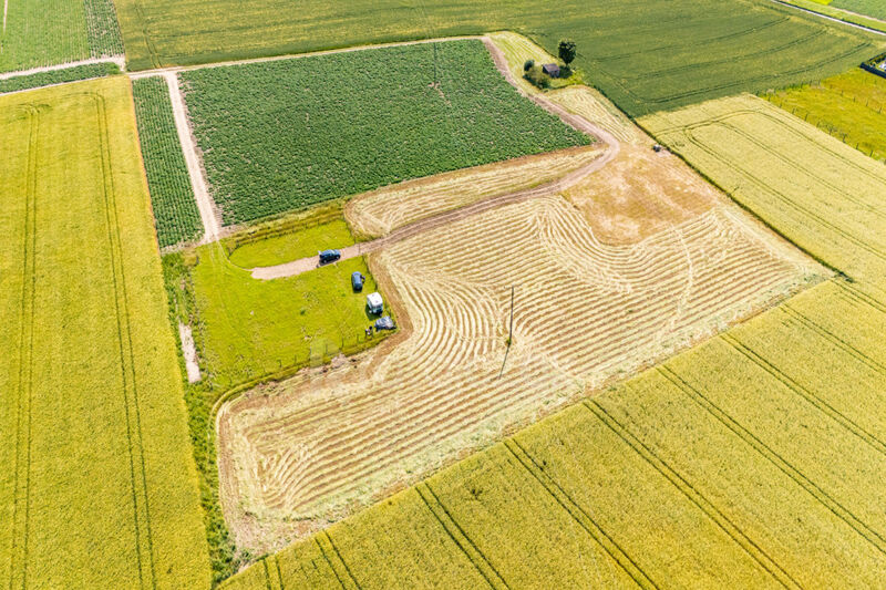Działki z odrębnymi Warunkami Zabudowy | Robakowo - Robakowo