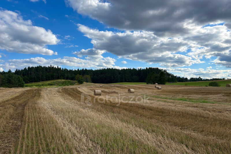 Powierzchnia działek: 2069 m² - 2265 m² | Mpzp - Gdynia