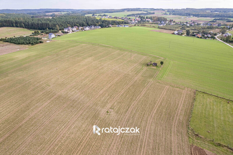 Działki z wydanymi Warunkami Zabudowy | Sychowo - Robakowo