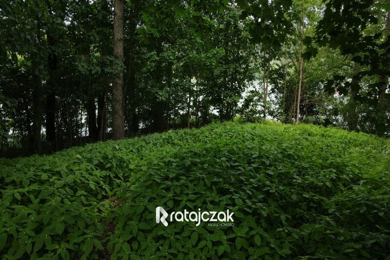 Działka Krzeszna z linią brzegową ! Kaszuby ! - Krzeszna